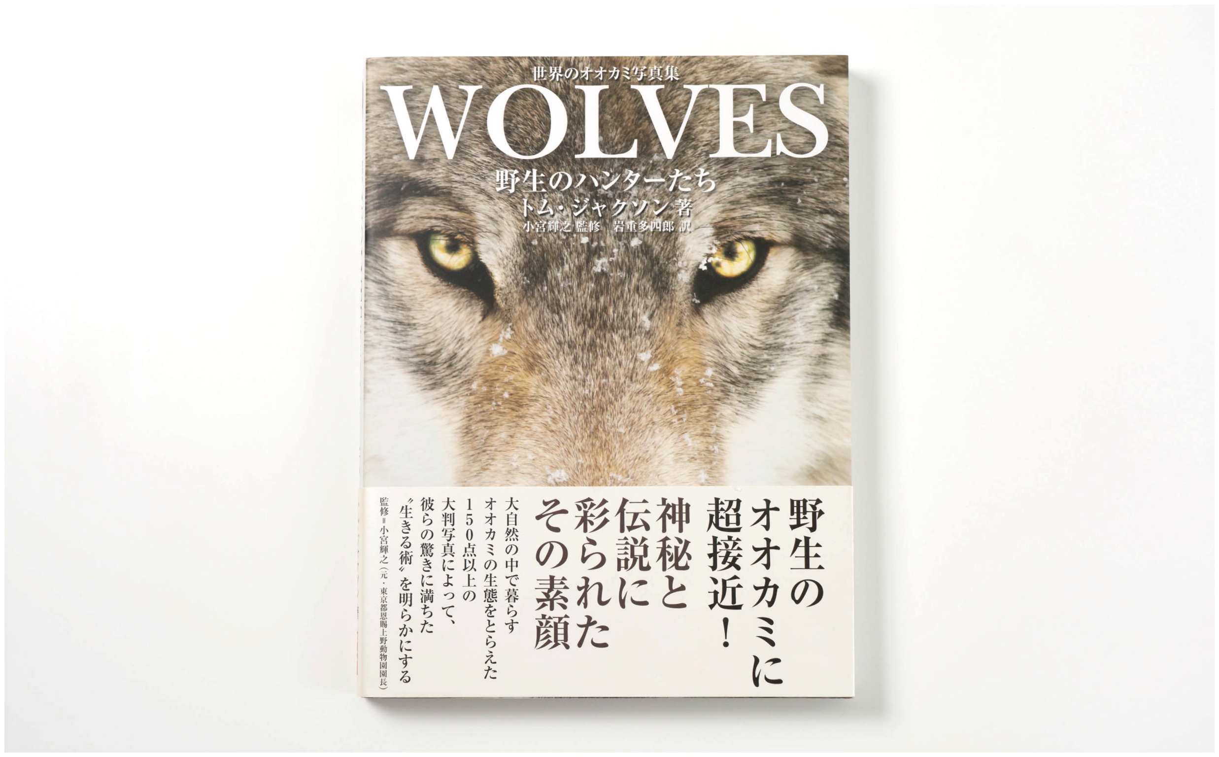 wolves_tigers-10