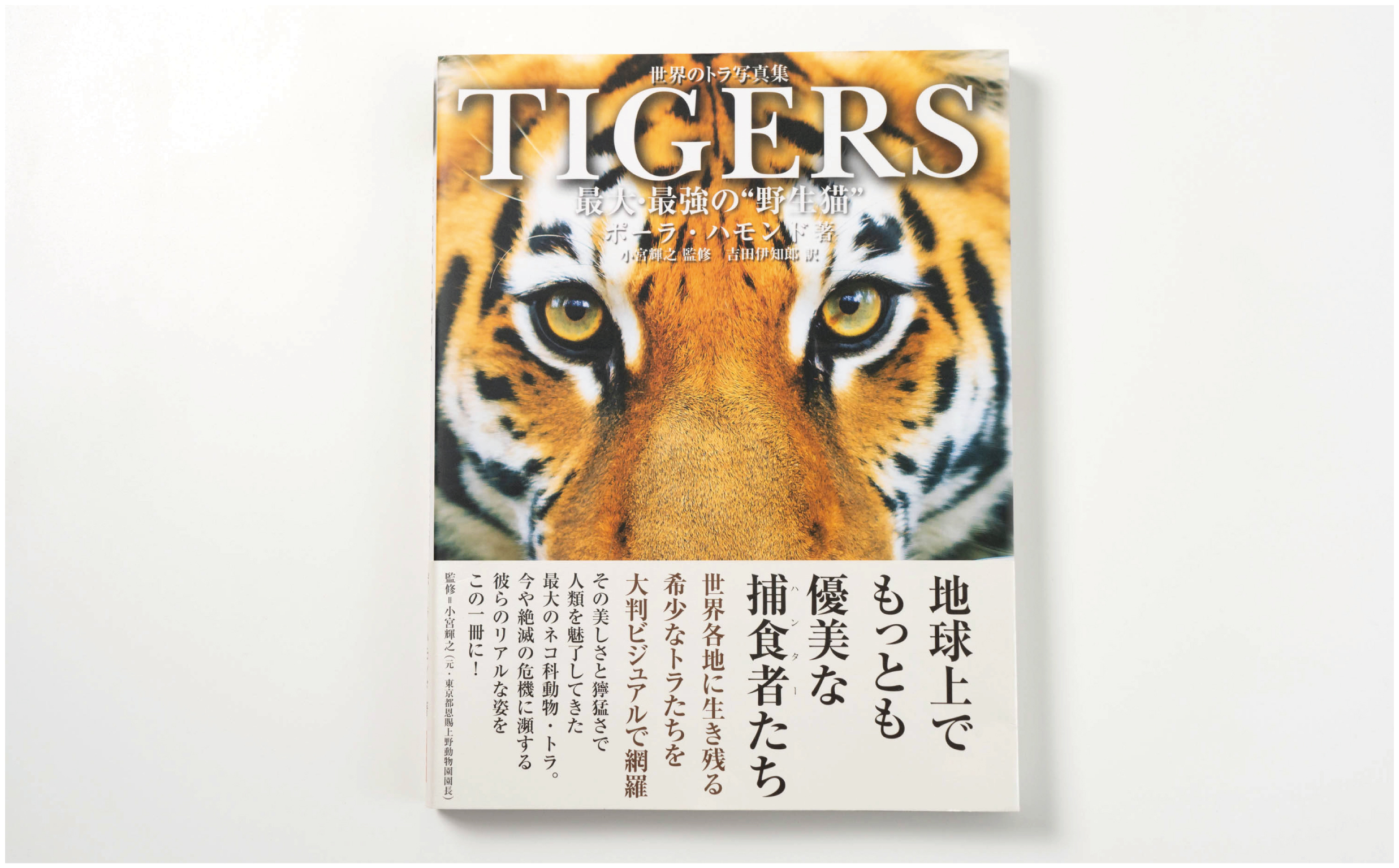 wolves_tigers-11
