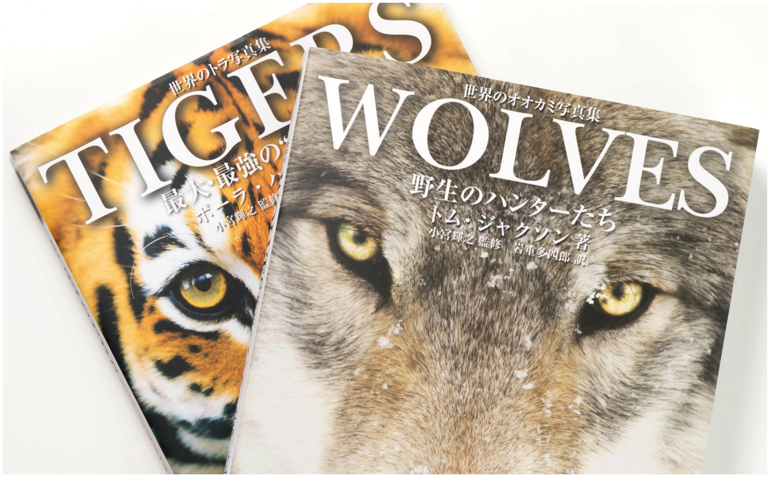 wolves_tigers_アートボード 1